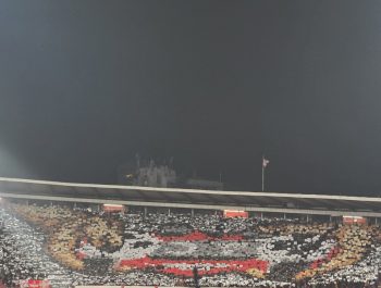 Фудбалска утакмица Црвена Звезда – FC LOSH Lille